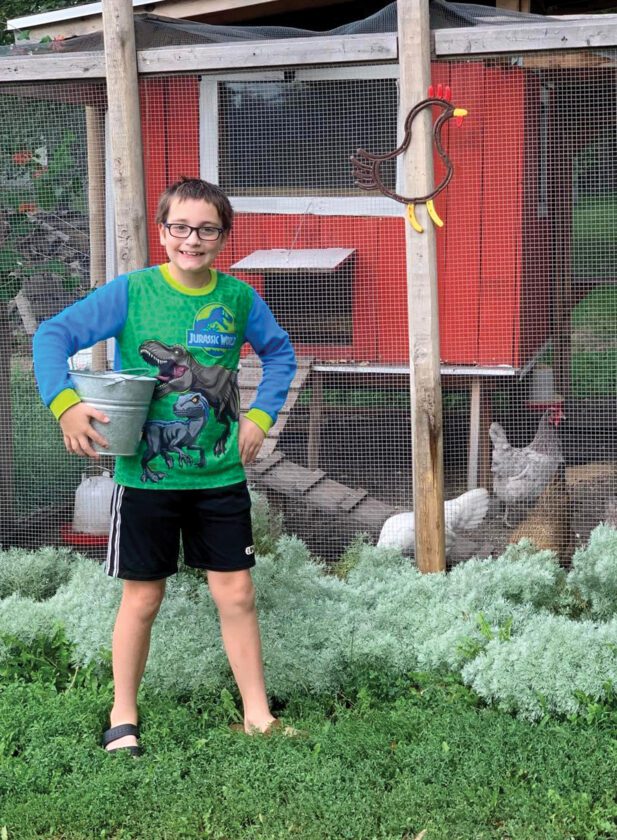 The chickens are back, possibly to stay | News, Sports, Jobs - Faribault County Register - Vimarsana News